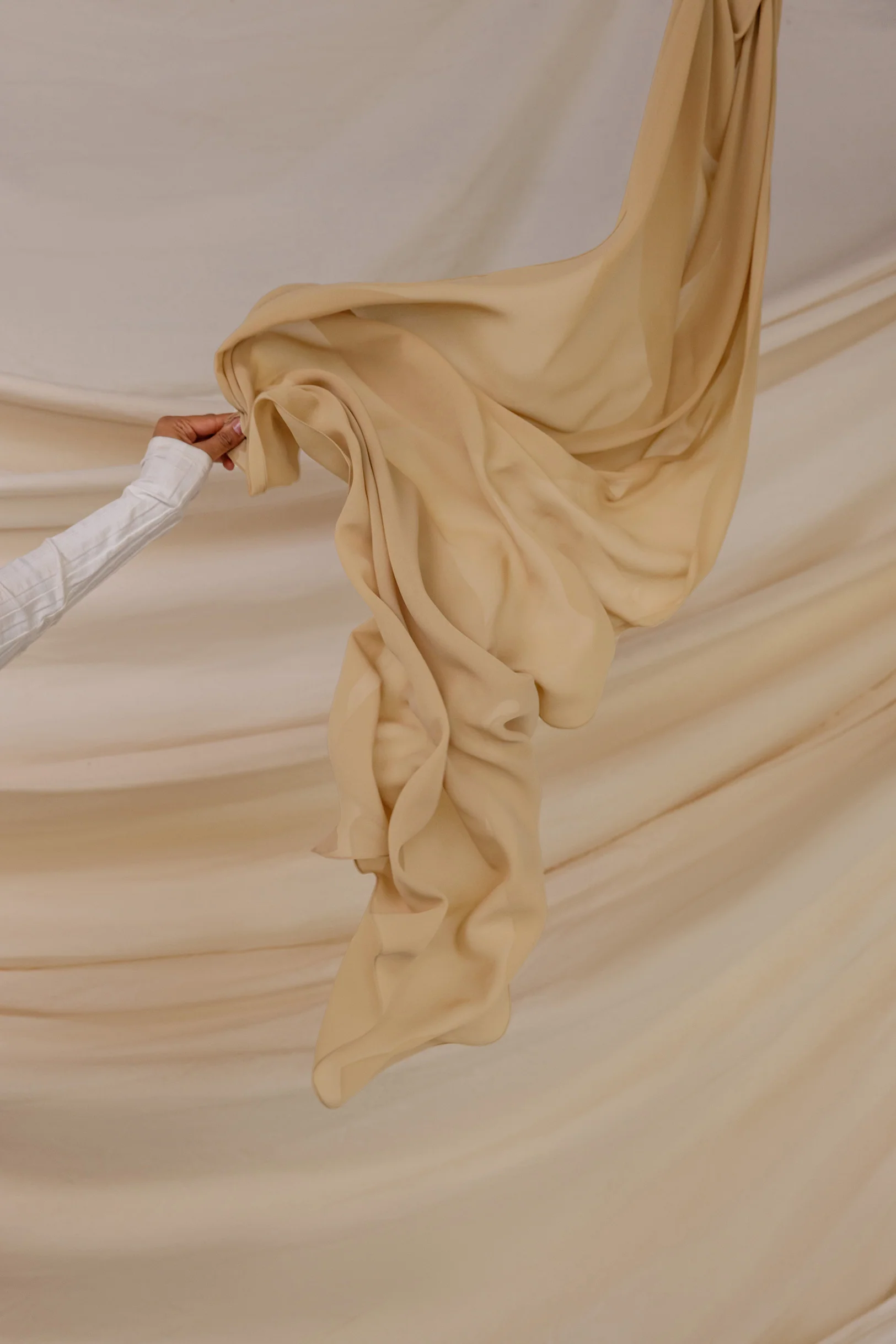 Anise Chiffon - Image 3