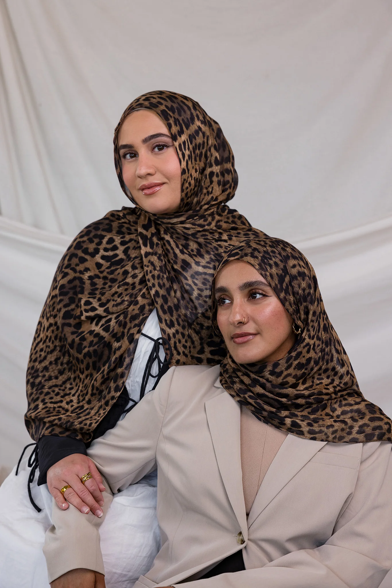 Leopard - Image 3