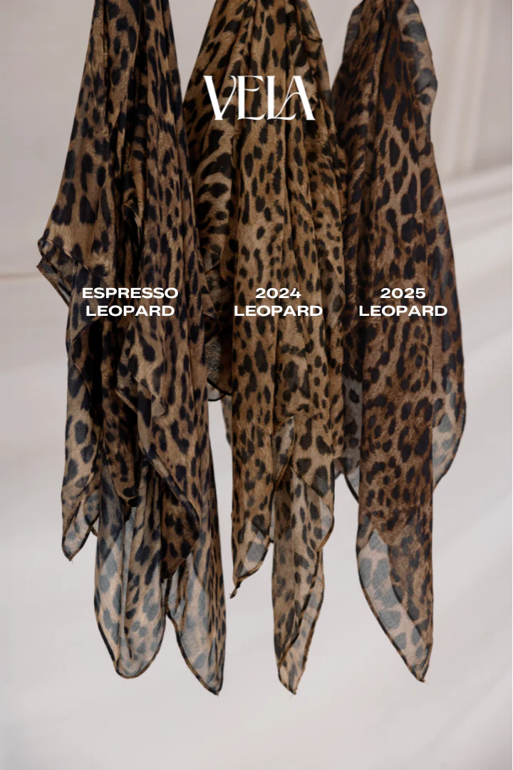 Leopard - Image 4