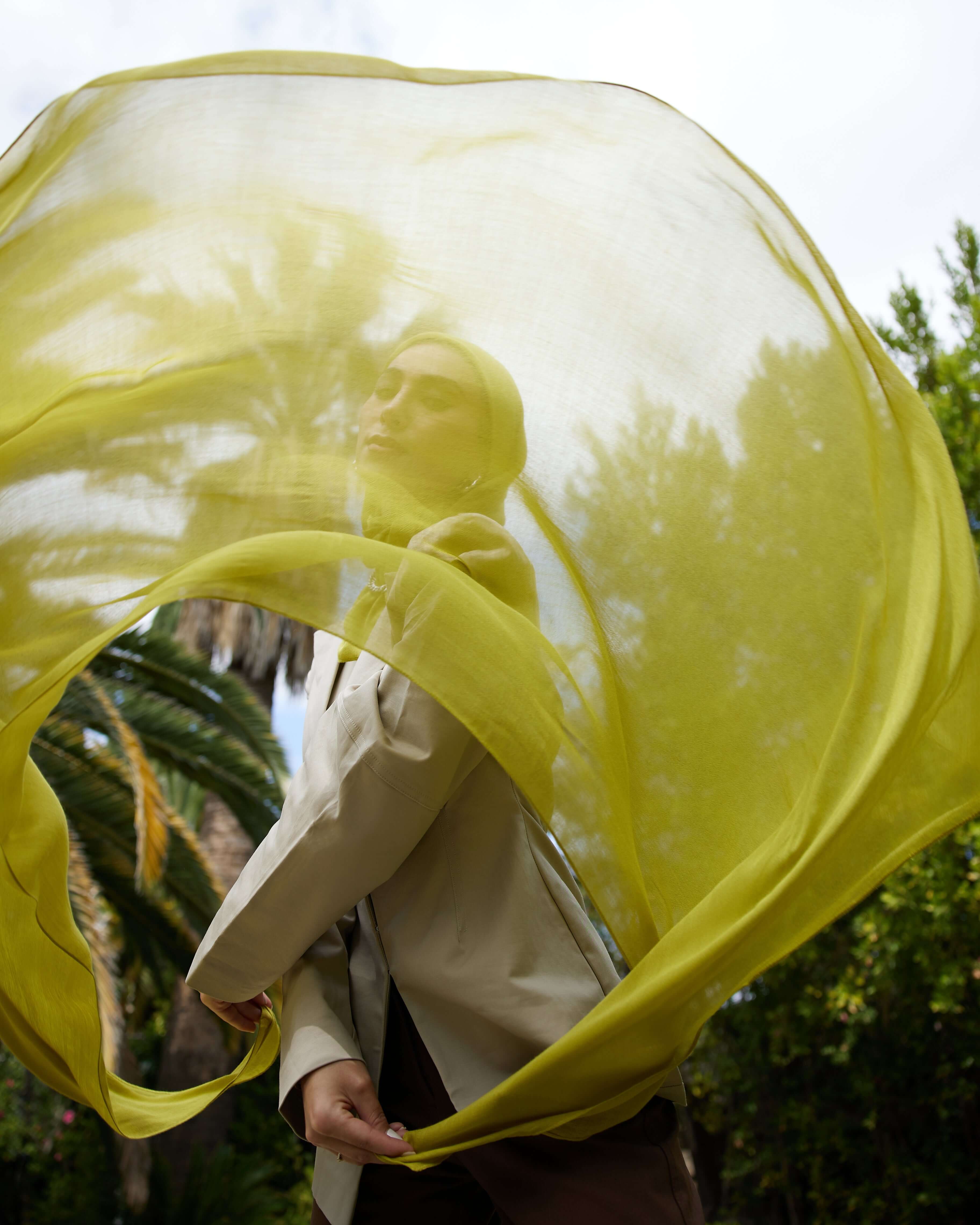 Lime Crush - Image 4