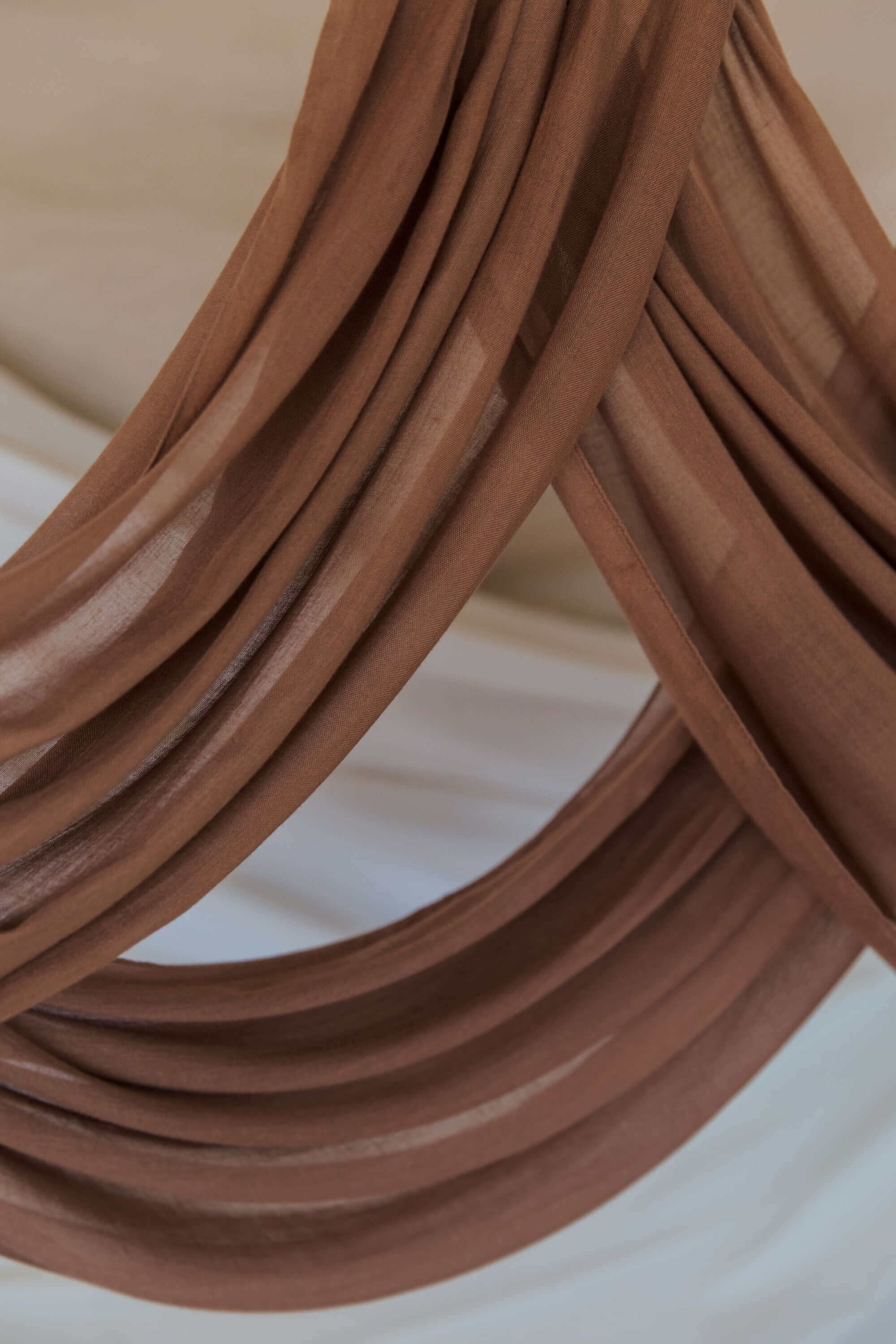 Maple Sugar - Image 3