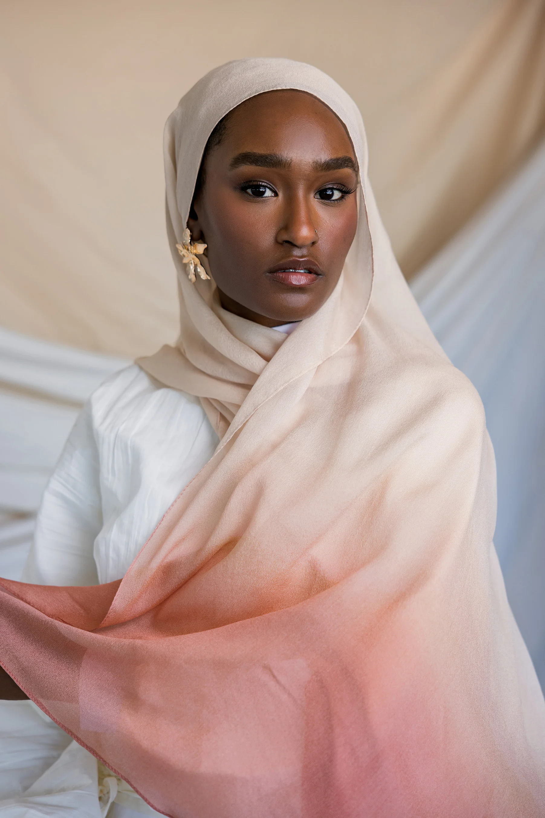 Blush Ombre Silk Chiffon