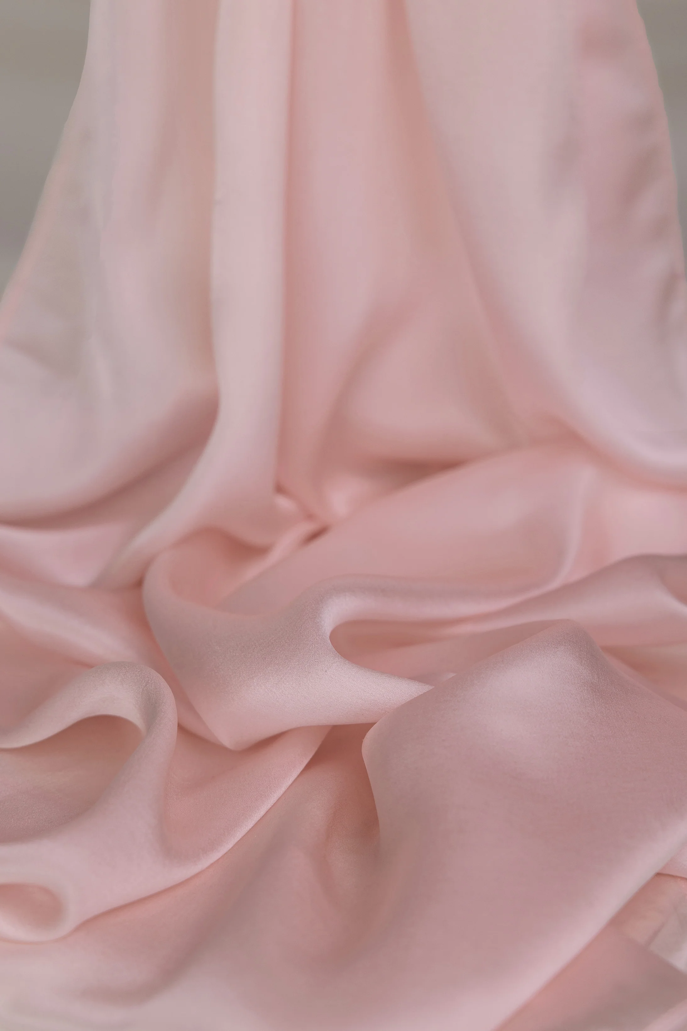 Powder Rose - Image 3