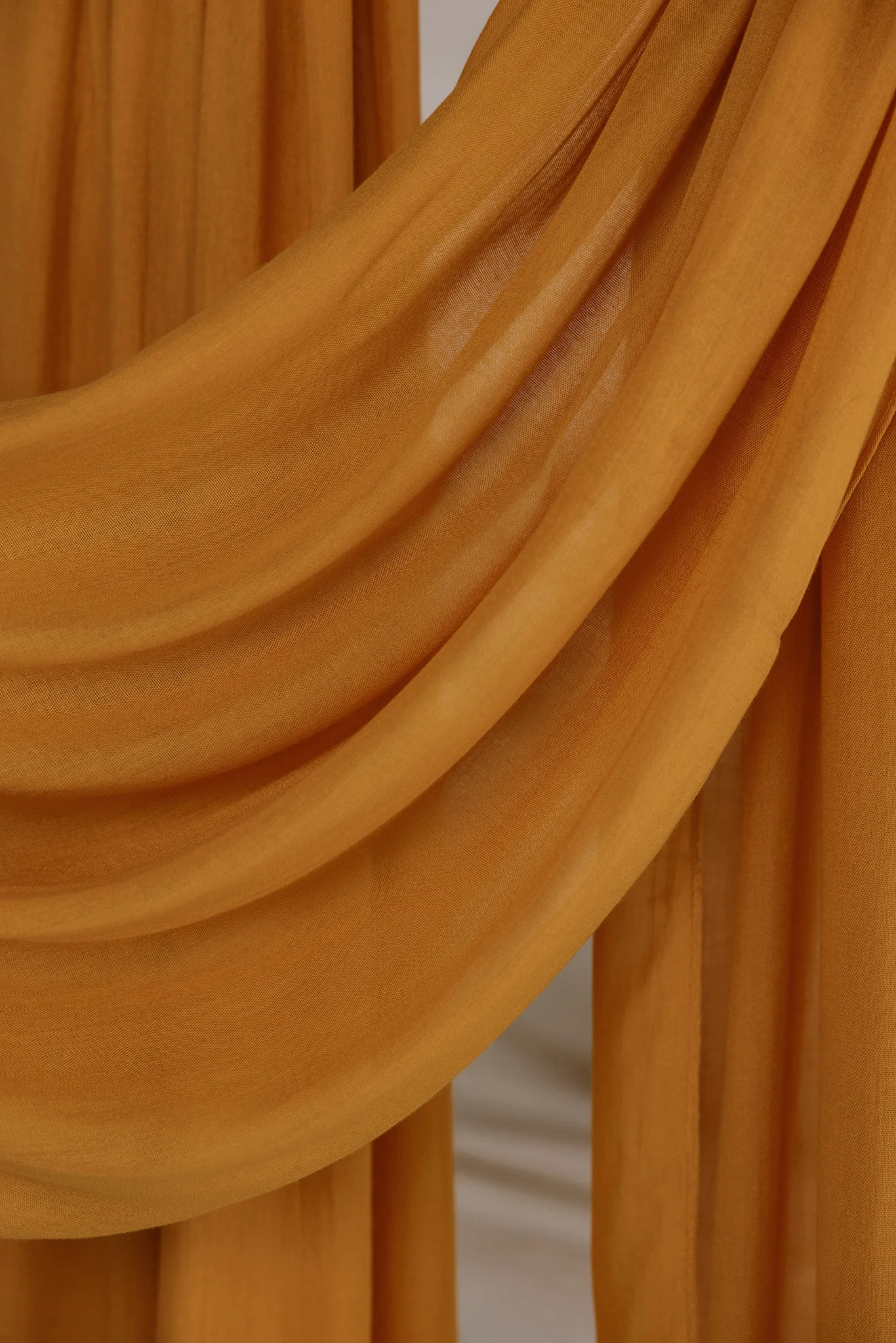 Turmeric Modal - Image 3