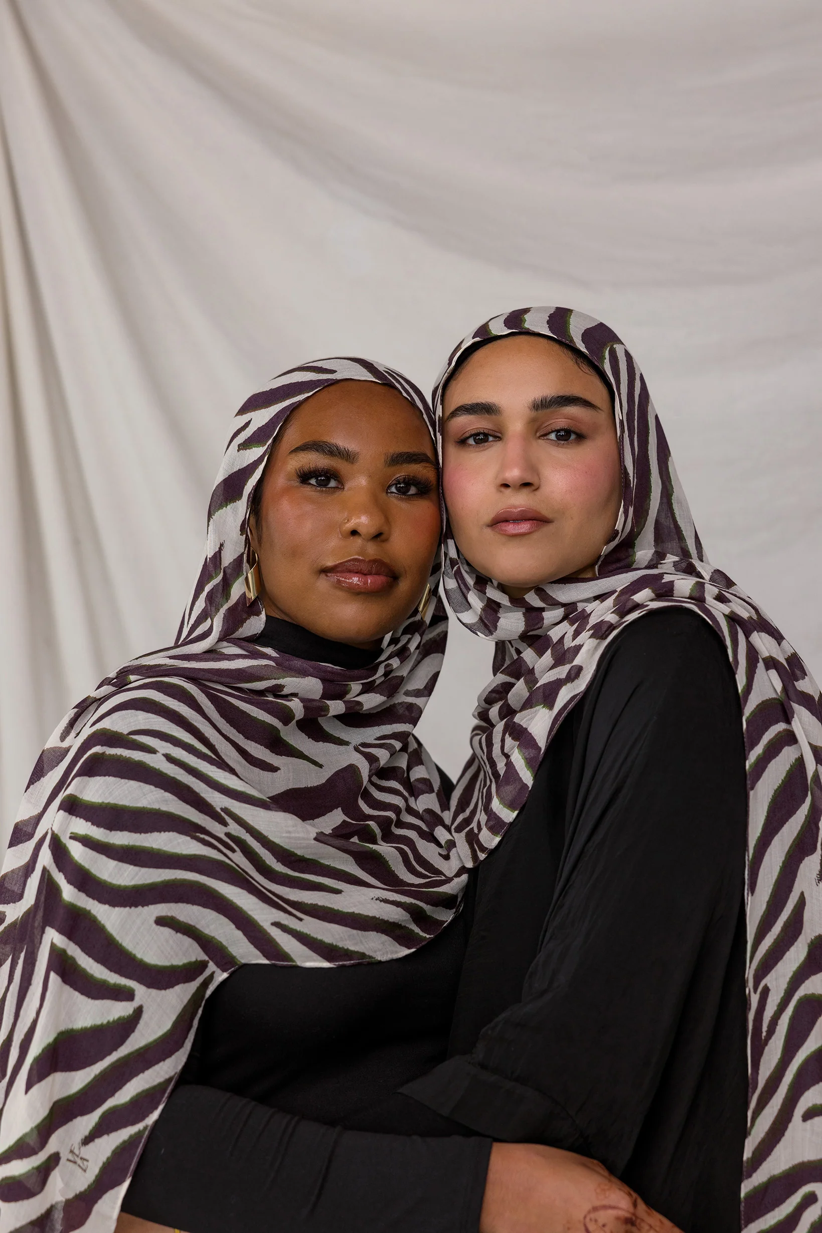 Zebra - Image 3